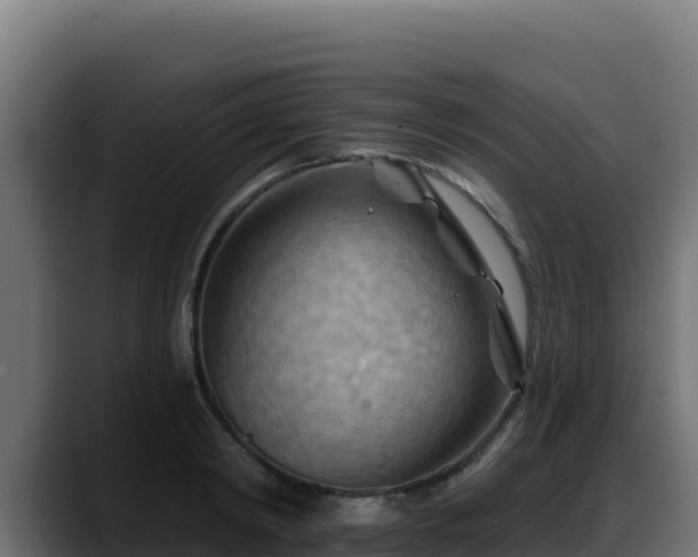 X0000088380798200705291347