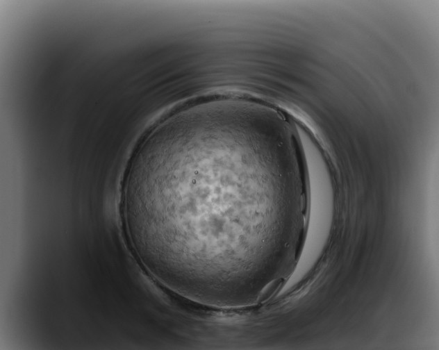 X0000088380799200705291346