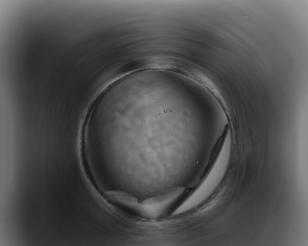 X0000088380803200705291346