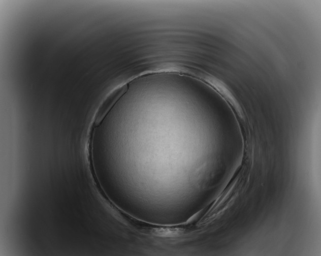 X0000088380805200705291346