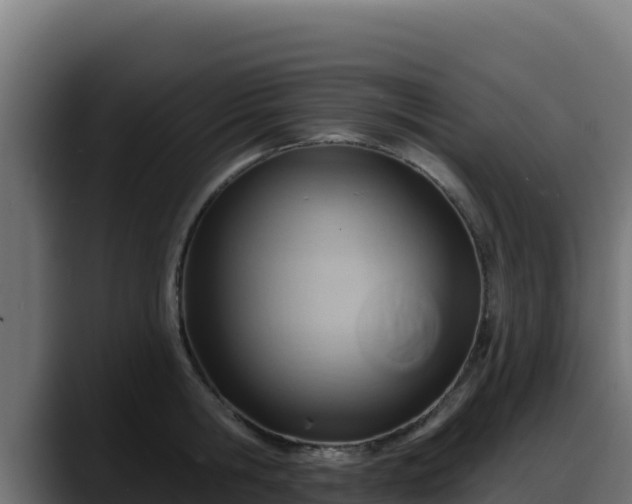 X0000088380806200705291346