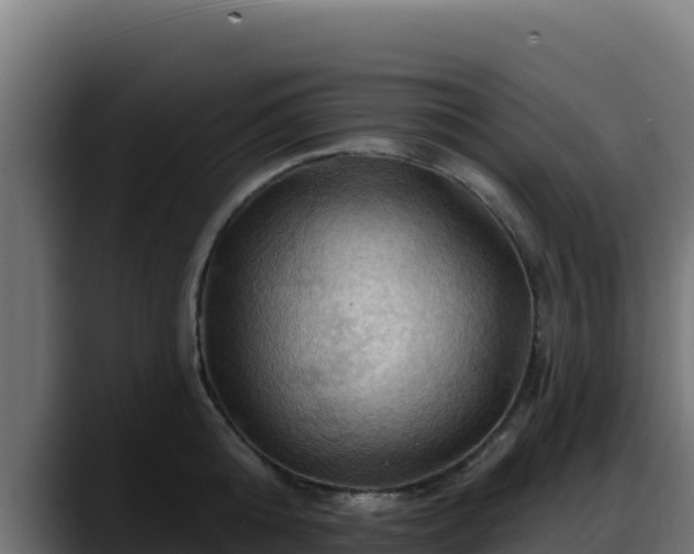 X0000088380808200705291346