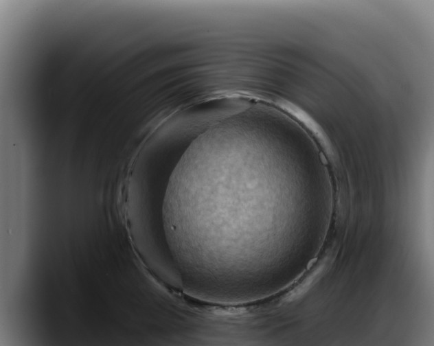 X0000088380809200705291346