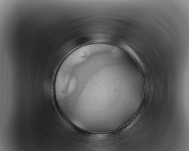 X0000088380810200705291346