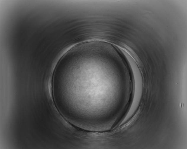 X0000088380812200705291346