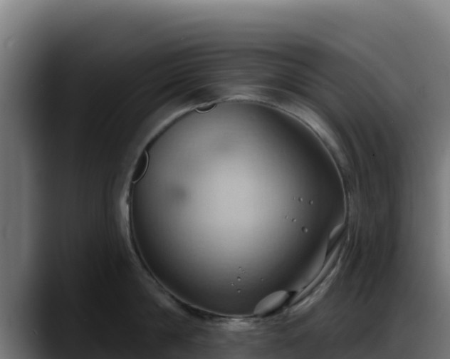 X0000088380814200705291346
