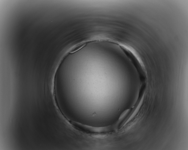 X0000088380815200705291346