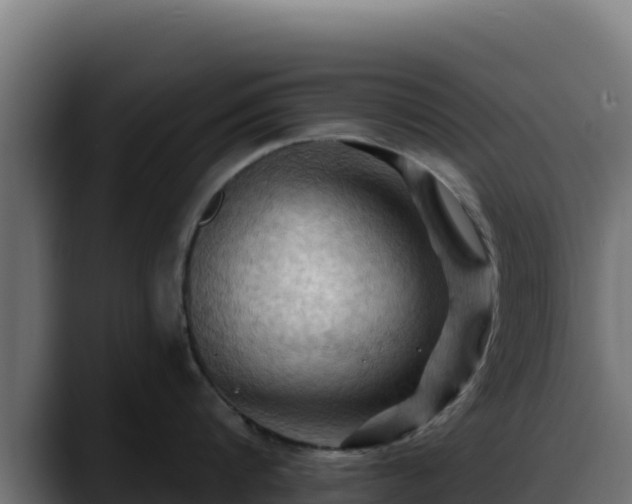 X0000088380816200705291346