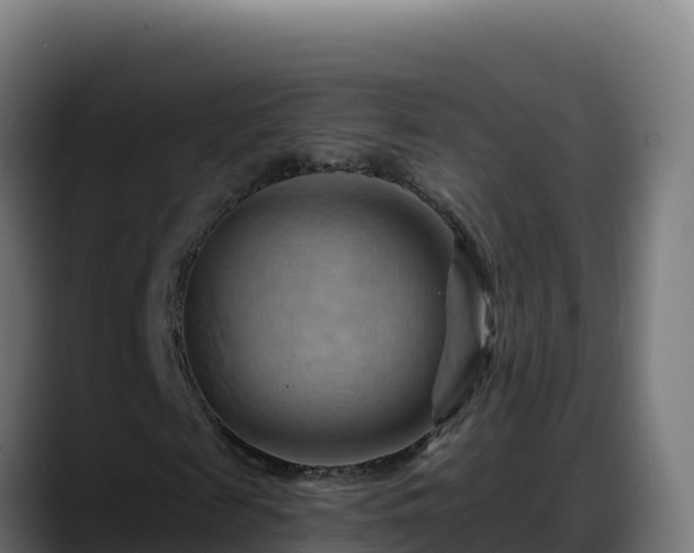 X0000088380817200705291346