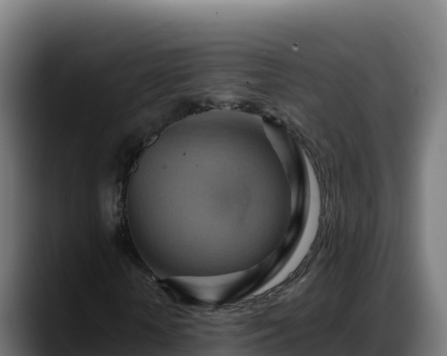 X0000088380818200705291346