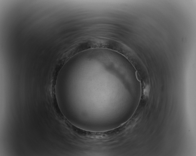 X0000088380819200705291346