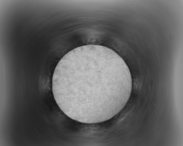 X0000088380820200705291346