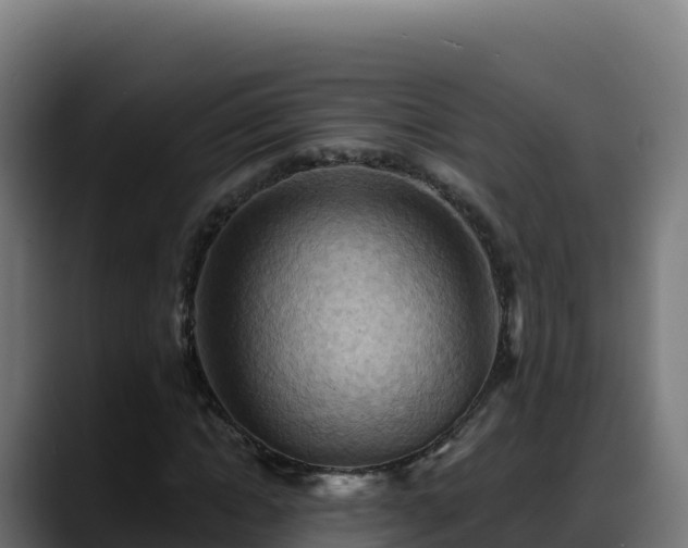 X0000088380822200705291346
