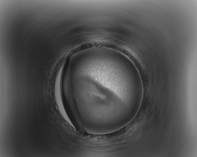 X0000088380823200705291346
