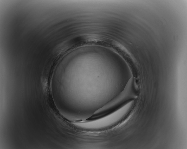 X0000088380825200705291346
