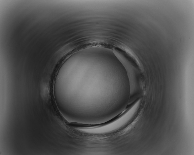 X0000088380826200705291346