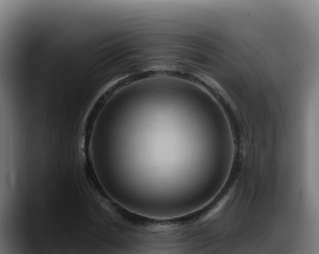 X0000088380830200705291346