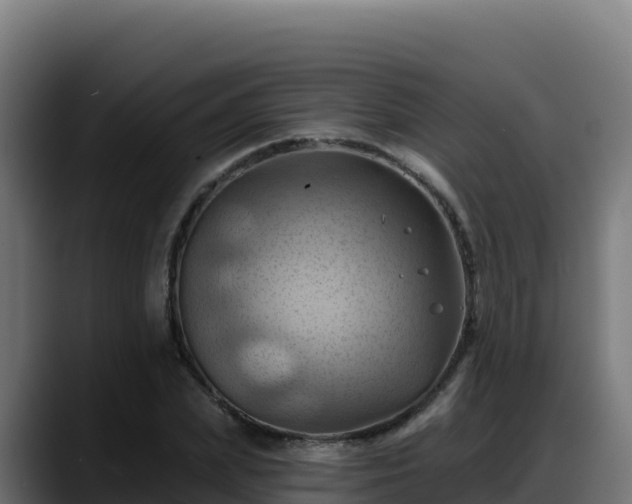 X0000088380831200705291346