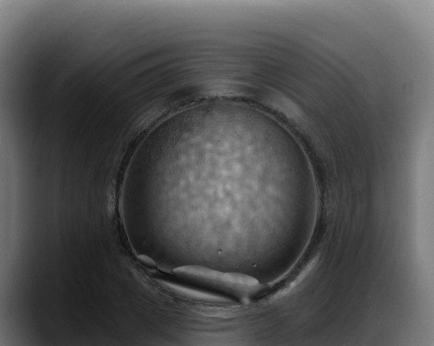 X0000088380833200705291346