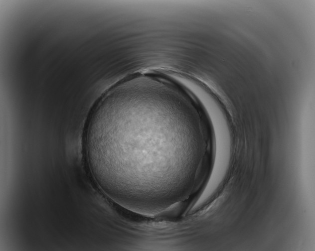 X0000088380834200705291346