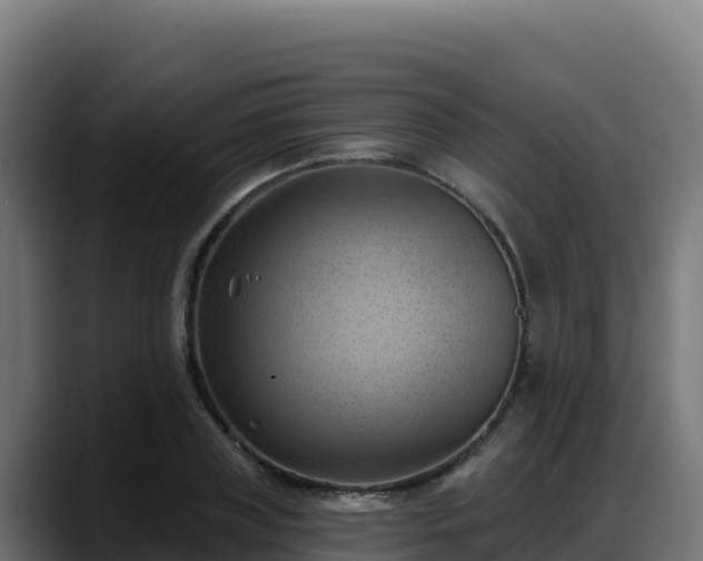 X0000088380835200705291346