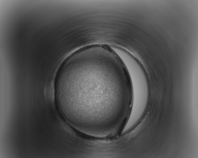 X0000088380838200705291346