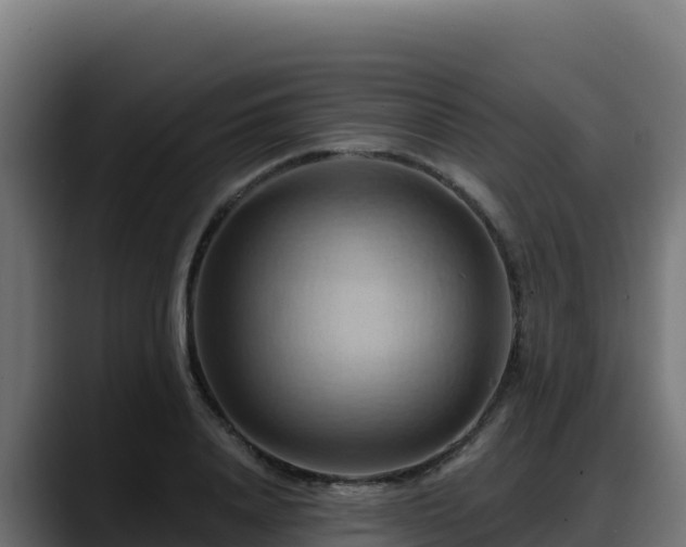 X0000088380840200705291346