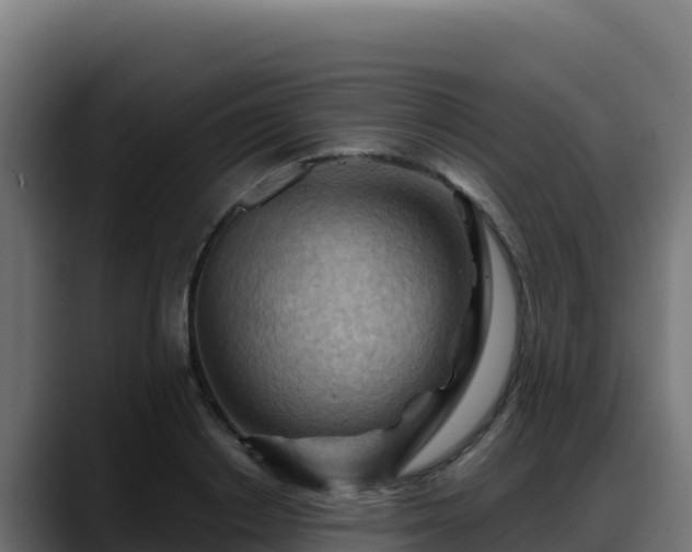 X0000088380842200705291346