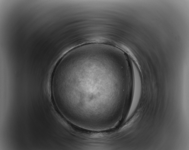 X0000088380843200705291346