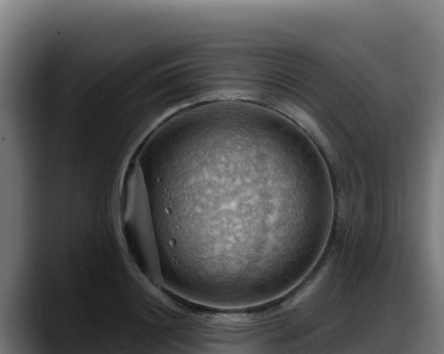 X0000088380844200705291346