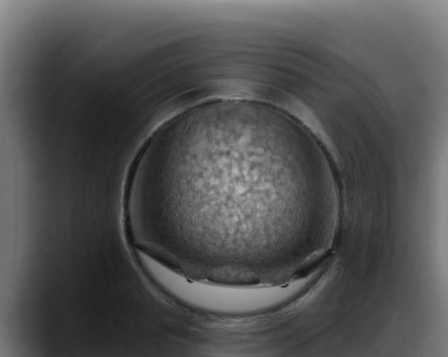X0000088380845200705291346