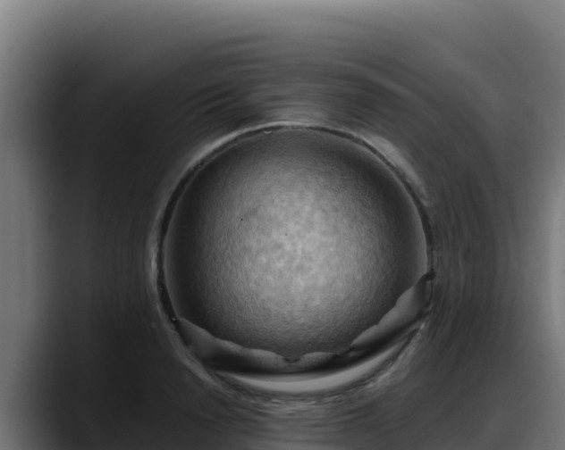 X0000088380846200705291346