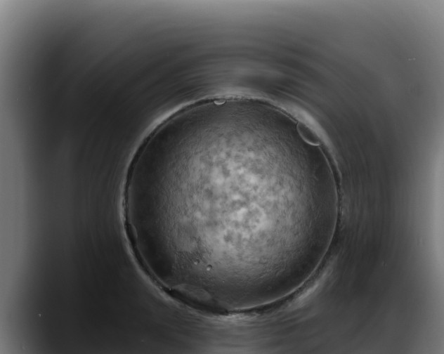 X0000088380847200705291346