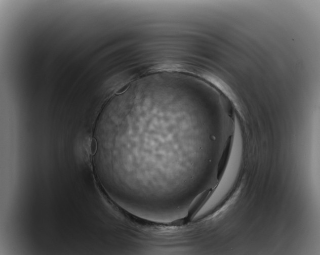 X0000088380849200705291346