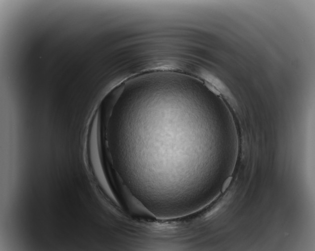 X0000088380850200705291346