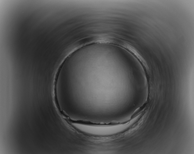 X0000088380853200705291346