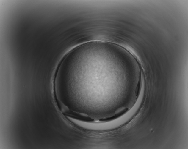 X0000088380854200705291346