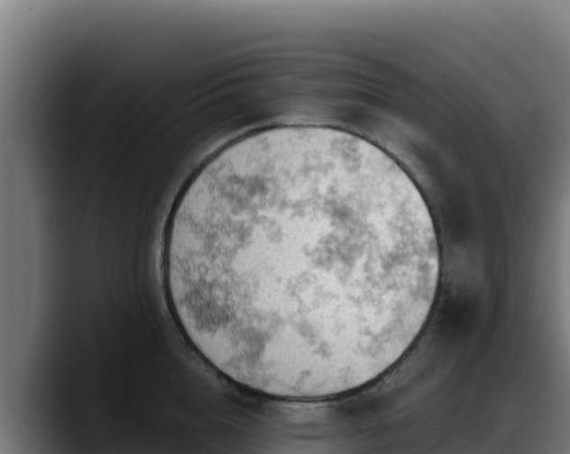 X0000088380856200705291346