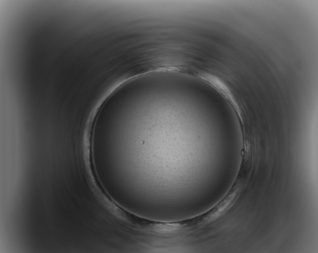 X0000088380859200705291346