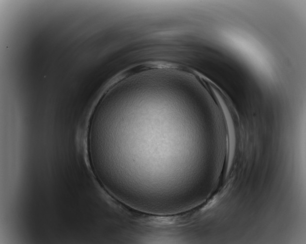 X0000088380861200705291346