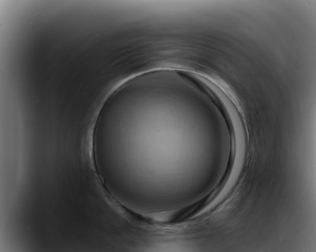 X0000088380862200705291346