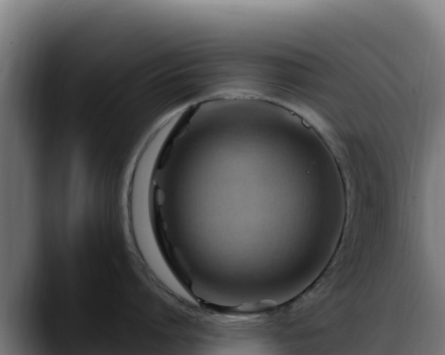 X0000088380864200705291346