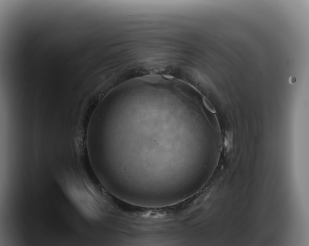 X0000088380867200705291346