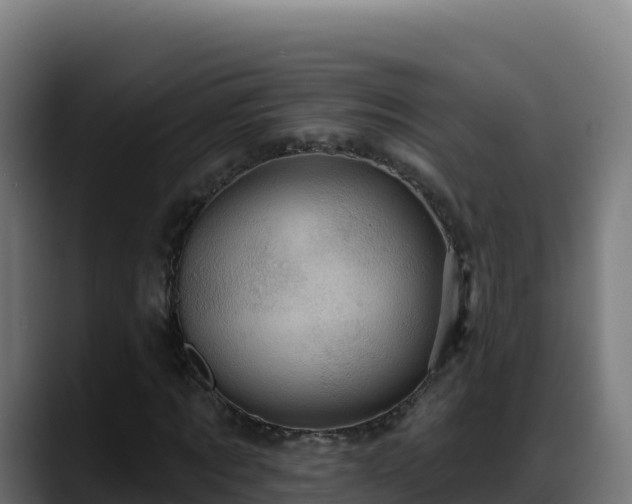 X0000088380869200705291346