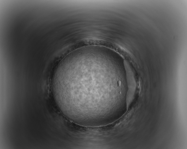 X0000088380870200705291346