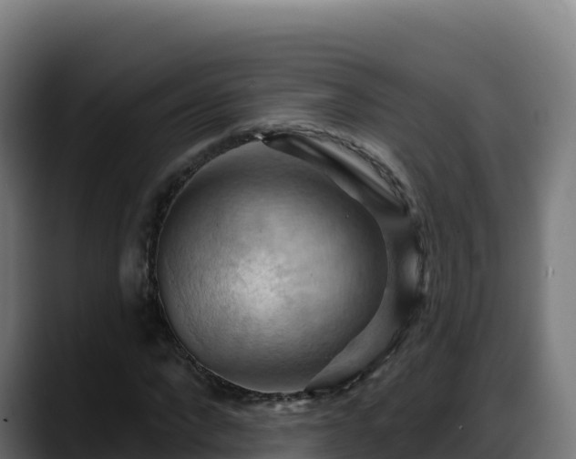 X0000088380872200705291346