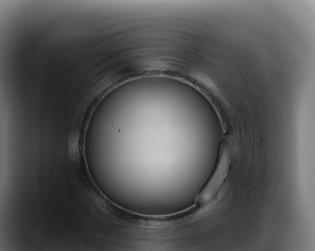 X0000088380873200705291346
