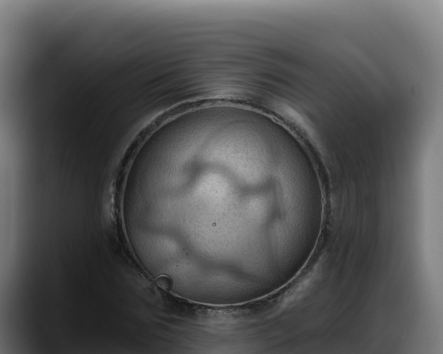 X0000088380875200705291346