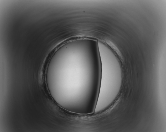 X0000088380876200705291345