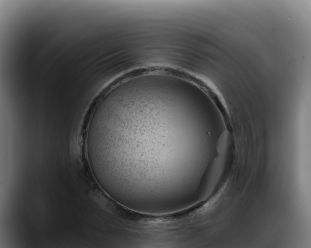 X0000088380879200705291345